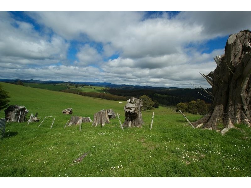 2228 Wilmot Rd, Lower Wilmot TAS 7310