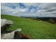 2228 Wilmot Rd, Lower Wilmot TAS 7310
