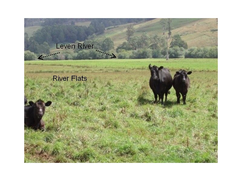 1139 Gunns Plains Road, Gunns Plains TAS 7315