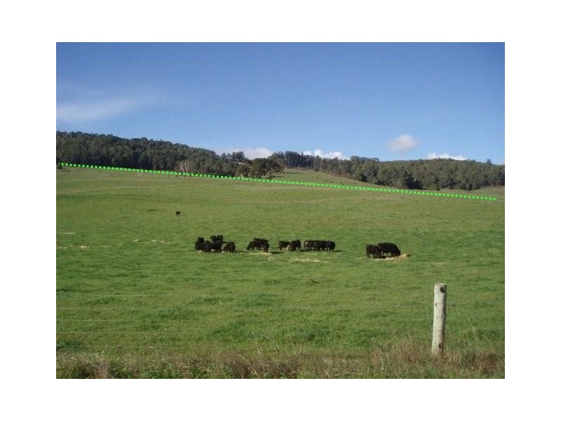1139 Gunns Plains Road, Gunns Plains TAS 7315