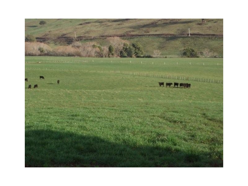 1139 Gunns Plains Road, Gunns Plains TAS 7315