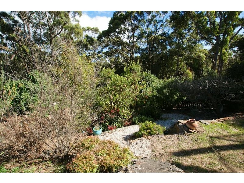65 Surrey Street, Devonport TAS 7310