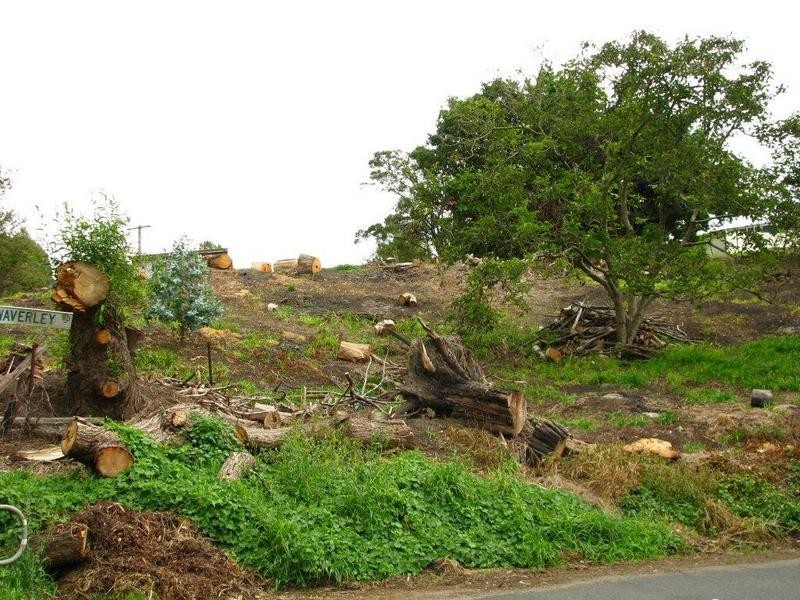 2 Old Coast Road, Don TAS 7310