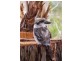 109 Marana Drive, Bakers Beach TAS 7307