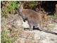 109 Marana Drive, Bakers Beach TAS 7307