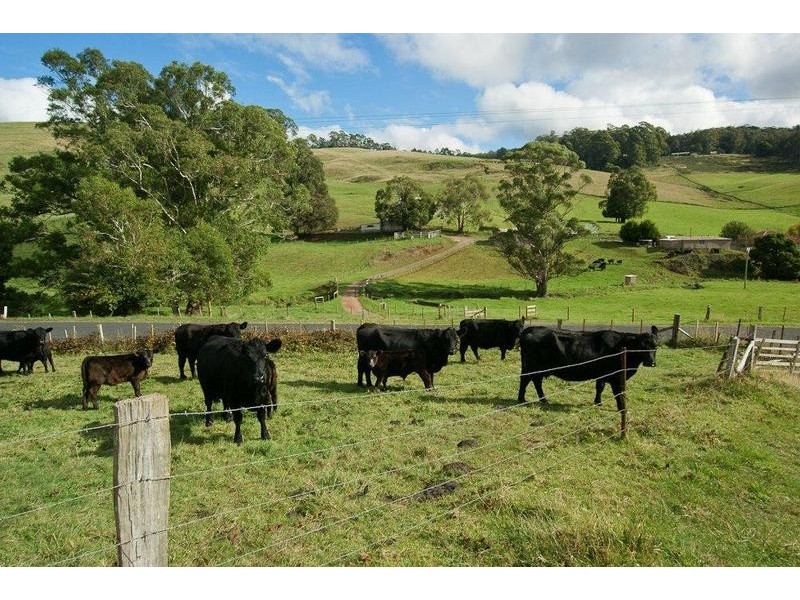 144 Paloona Road, Paloona TAS 7310