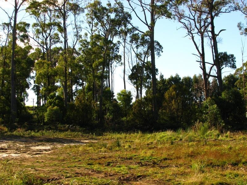 23 Wescombes Road, Moriarty TAS 7307