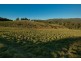 Lot 11 Roope Road, Lower Barrington TAS 7306