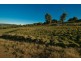 Lot 11 Roope Road, Lower Barrington TAS 7306