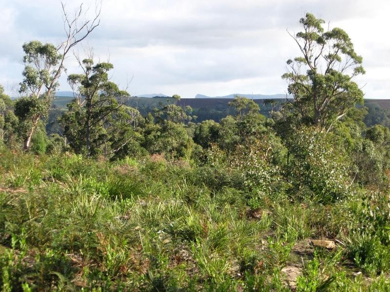 26 Forest Heights Drive, Tugrah TAS 7310