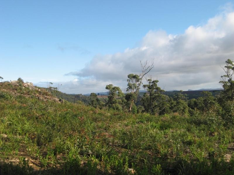 26 Forest Heights Drive, Tugrah TAS 7310