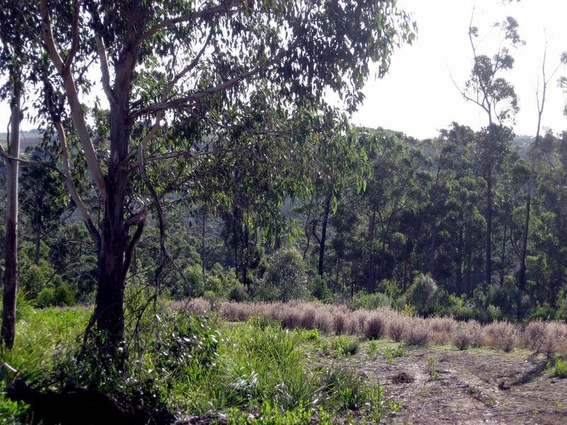 26 Forest Heights Drive, Tugrah TAS 7310