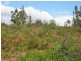 26 Forest Heights Drive, Tugrah TAS 7310