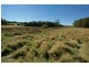 Lot 2, 29A York Street, Latrobe TAS 7307
