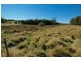 Lot 2, 29A York Street, Latrobe TAS 7307