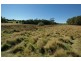 Lot 2, 29A York St, Latrobe TAS 7307