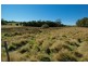Lot 2, 29A York St, Latrobe TAS 7307