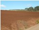 53 Pump Station Rd, Forth TAS 7310