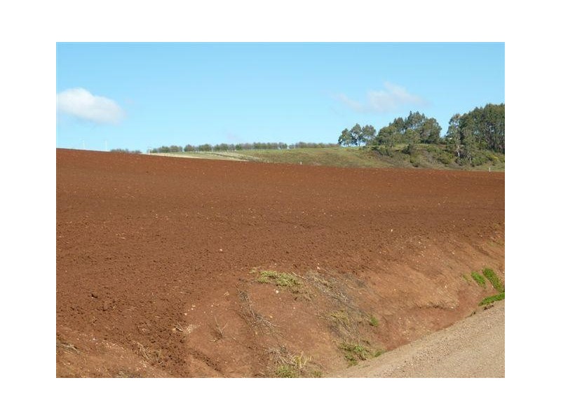 53 Pump Station Rd, Forth TAS 7310