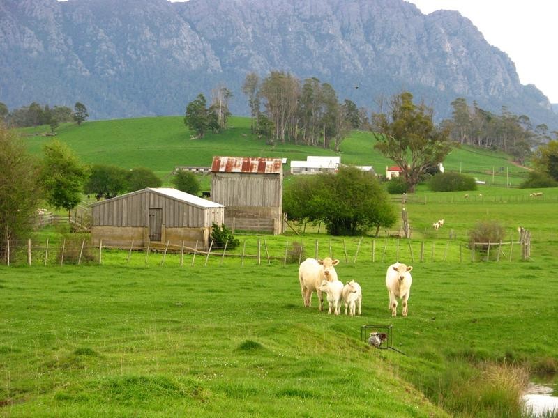 138a Main Street, Sheffield TAS 7306