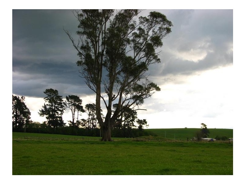 138a Main Street, Sheffield TAS 7306