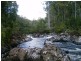 520 Harveys Road, North Motton TAS 7315
