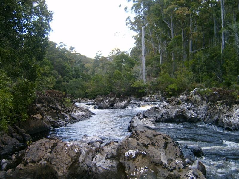 520 Harveys Road, North Motton TAS 7315