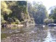 520 Harveys Road, North Motton TAS 7315