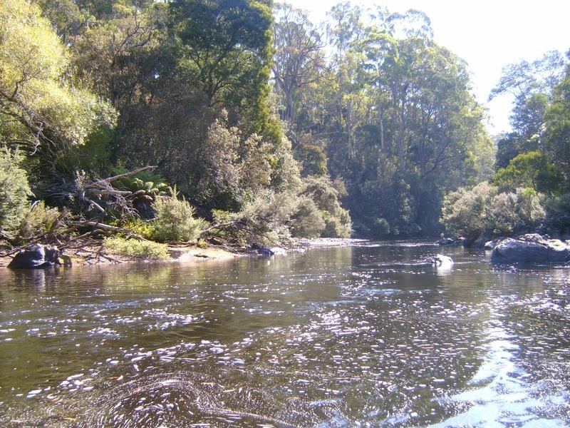 520 Harveys Road, North Motton TAS 7315
