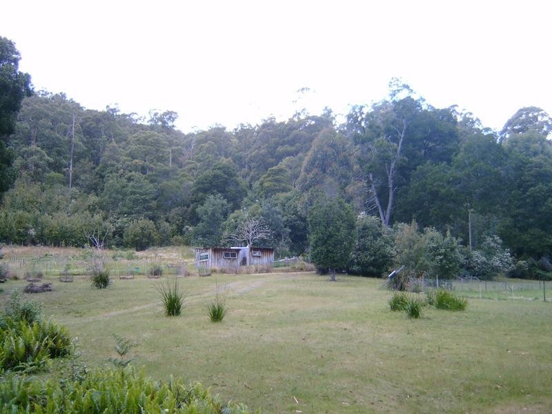 520 Harveys Road, North Motton TAS 7315