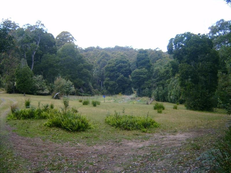520 Harveys Road, North Motton TAS 7315