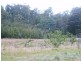520 Harveys Road, North Motton TAS 7315