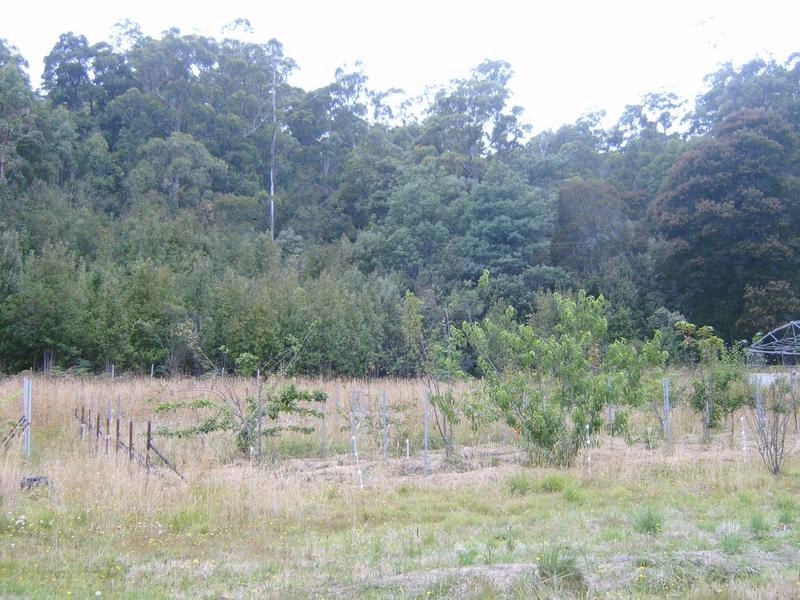 520 Harveys Road, North Motton TAS 7315