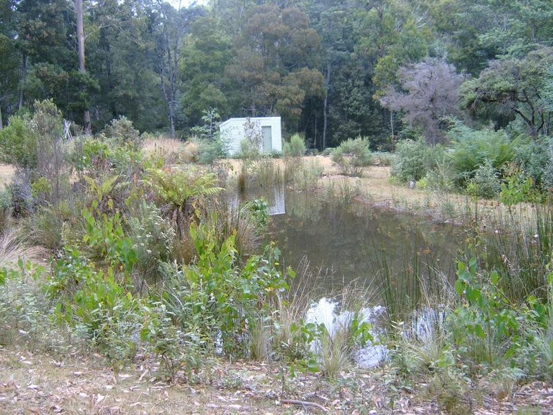 520 Harveys Road, North Motton TAS 7315