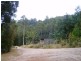 520 Harveys Road, North Motton TAS 7315