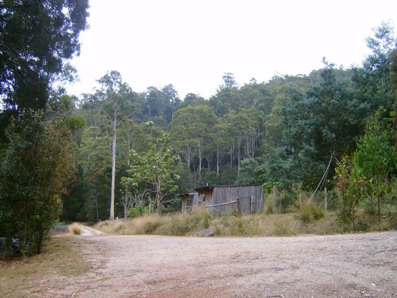 520 Harveys Road, North Motton TAS 7315
