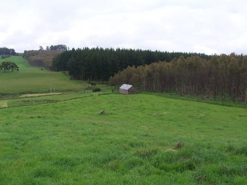 629 Lower Beulah Road, Beulah TAS 7306