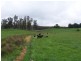 629 Lower Beulah Road, Beulah TAS 7306