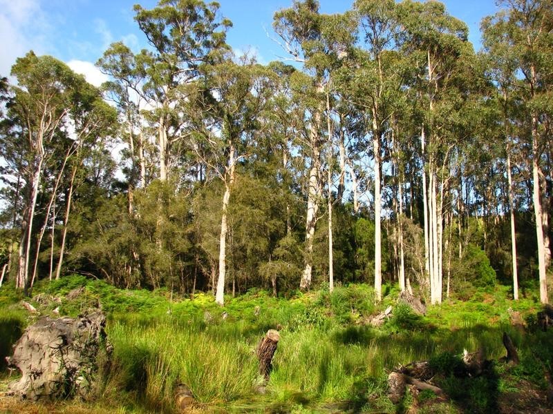 Lot 7 Castle Drive, Tarleton TAS 7310