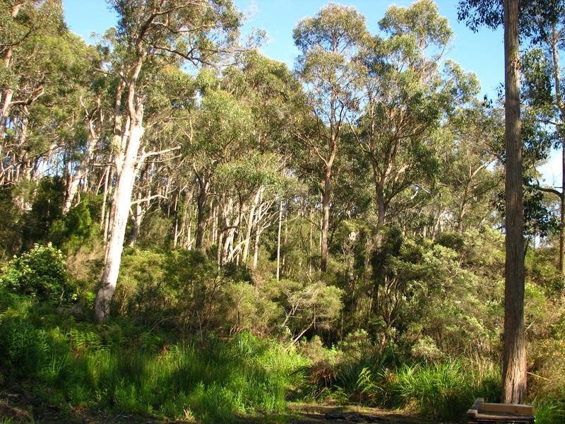Lot 7 Castle Drive, Tarleton TAS 7310
