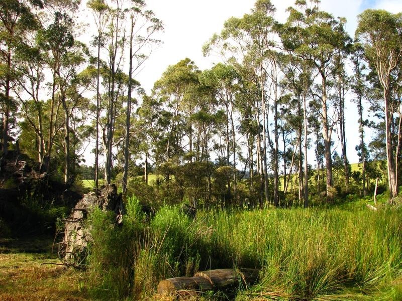 Lot 7 Castle Drive, Tarleton TAS 7310