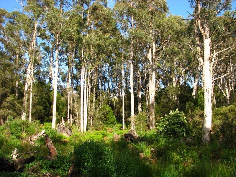 Lot 7 Castle Drive, Tarleton TAS 7310