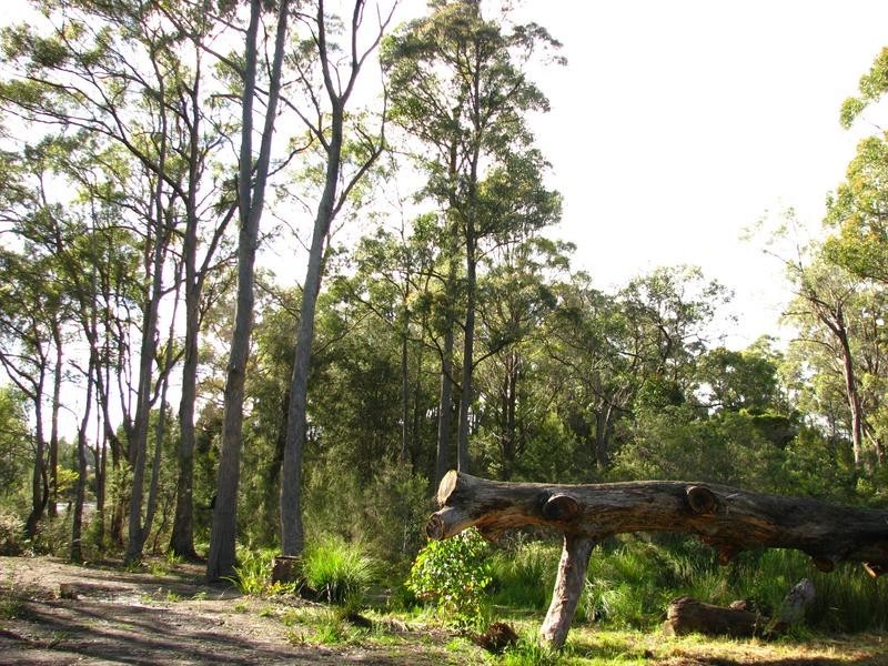 Lot no. 7 Castle Drive, Tarleton TAS 7310