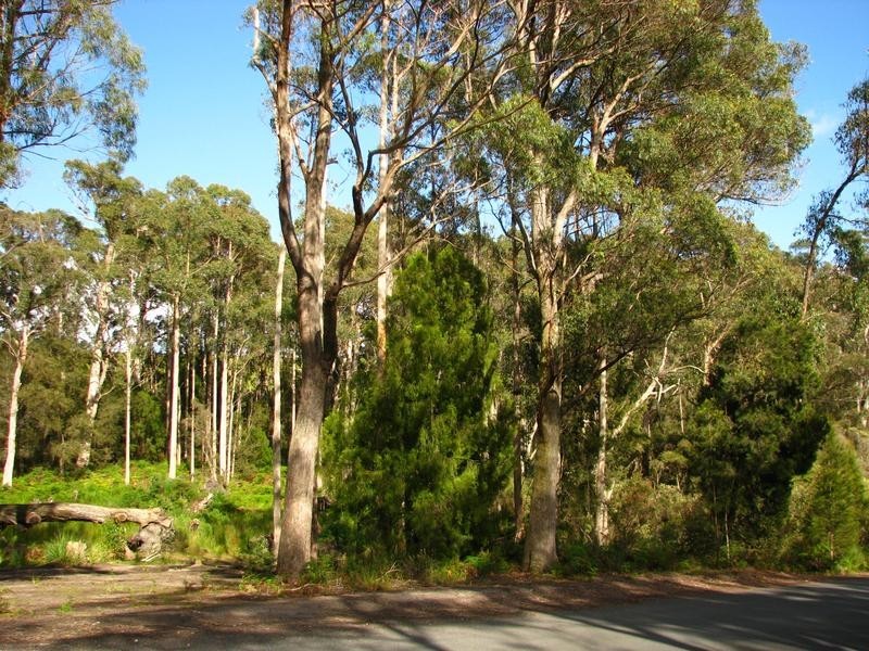 Lot no. 7 Castle Drive, Tarleton TAS 7310