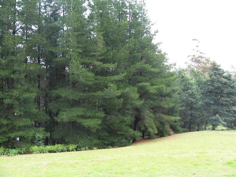1190 Nook Road, Acacia Hills TAS 7306