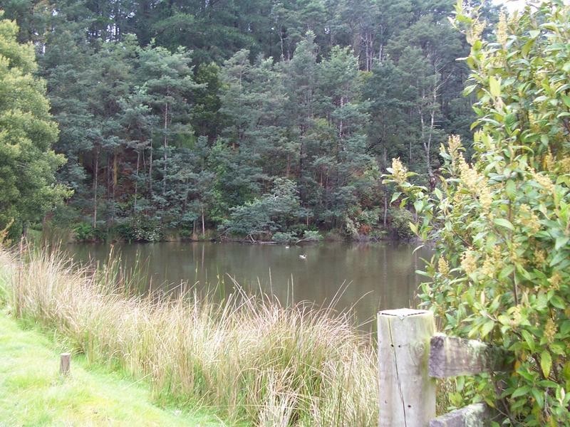1190 Nook Road, Acacia Hills TAS 7306