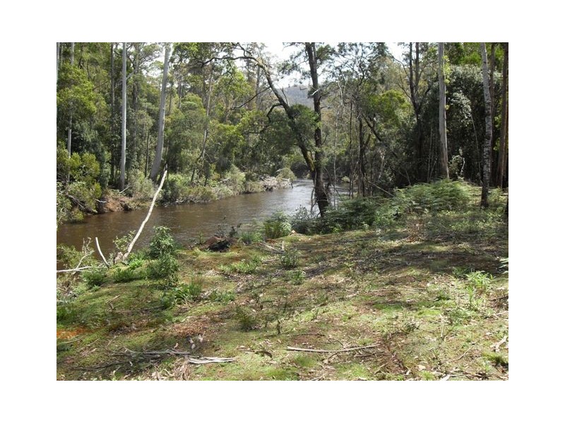 245 Harveys Rd, North Motton TAS 7315