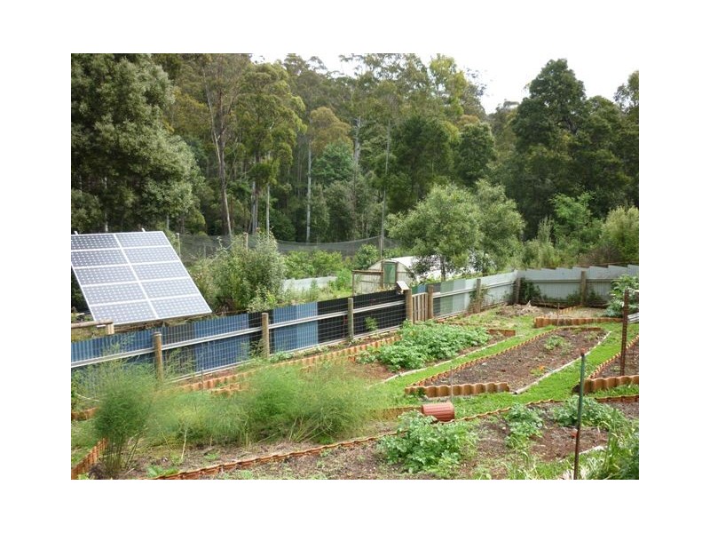 245 Harveys Rd, North Motton TAS 7315