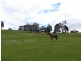 1069 Staverton Road, Sheffield TAS 7306