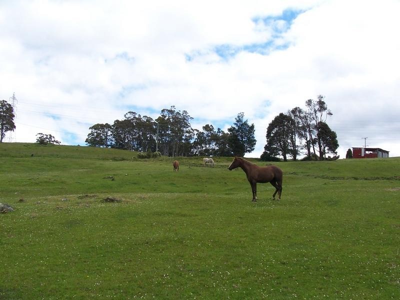 1069 Staverton Rd, Sheffield TAS 7306